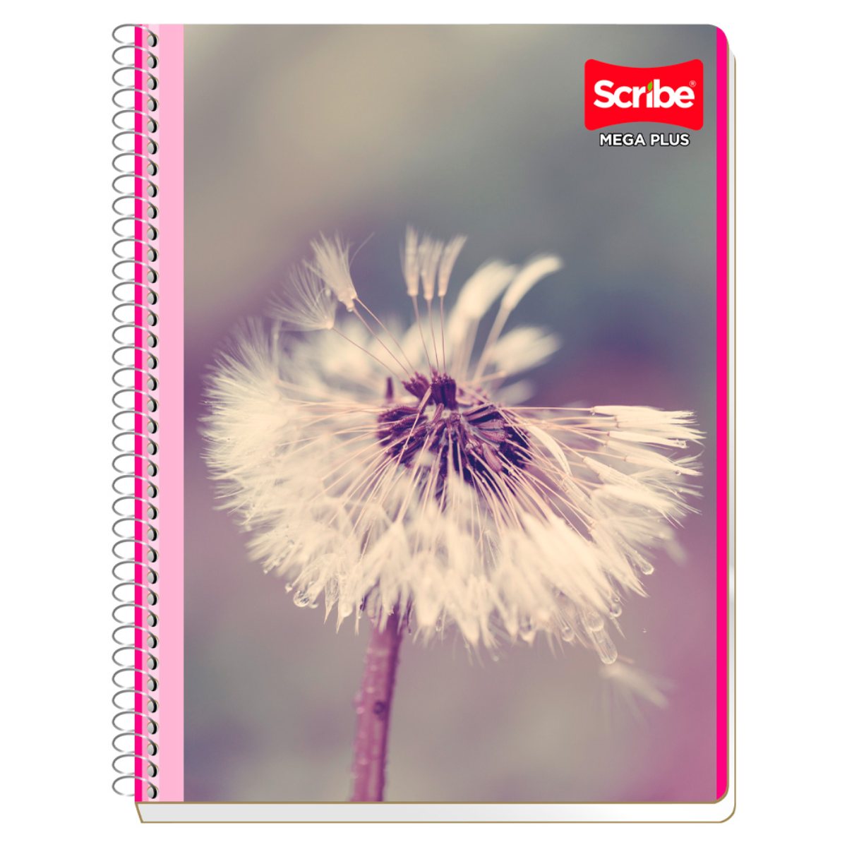 Cuaderno Profesional Scribe Mega Plus, Cuadro Grande, 100 Hojas