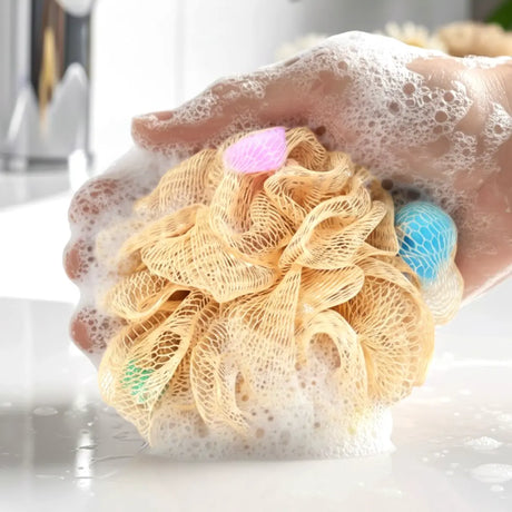 Borla Corporal, Color Café