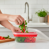 22 12NDK CONTENEDOR PLASTICO 650ML 1PZROJO