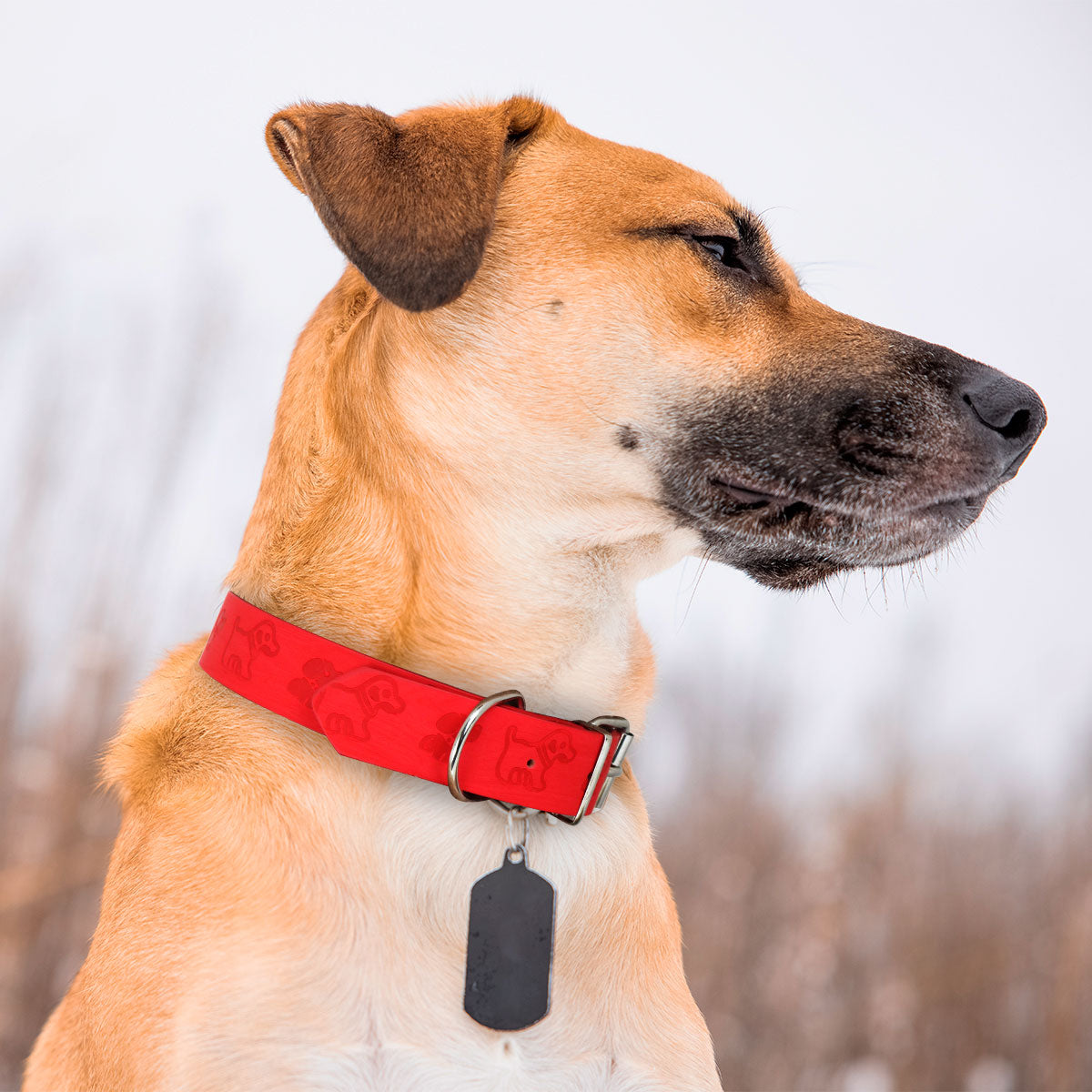 Collar color Rojo con Diseño de Perritos para Mascota