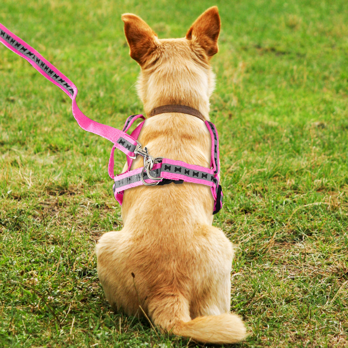 Pechera para Mascota, color Rosa