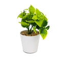 Product image thumbnail 3
