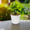 Product image thumbnail 1