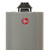 Boiler Calentador de Agua Rheem 38 Litros 1 Servicio Gas LP 29V10SP