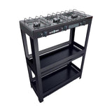 Parrilla de Gas con Estante Alfamex 3 Quemadores Negra 911