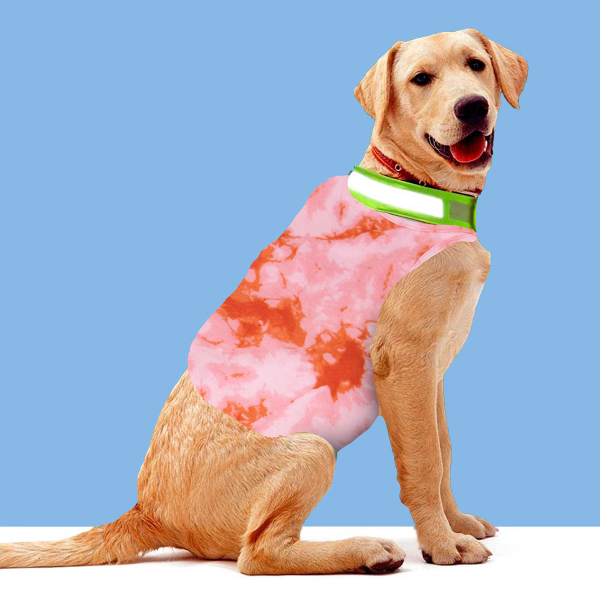 Ropa para Perro Colorful con Huellita color Rosa