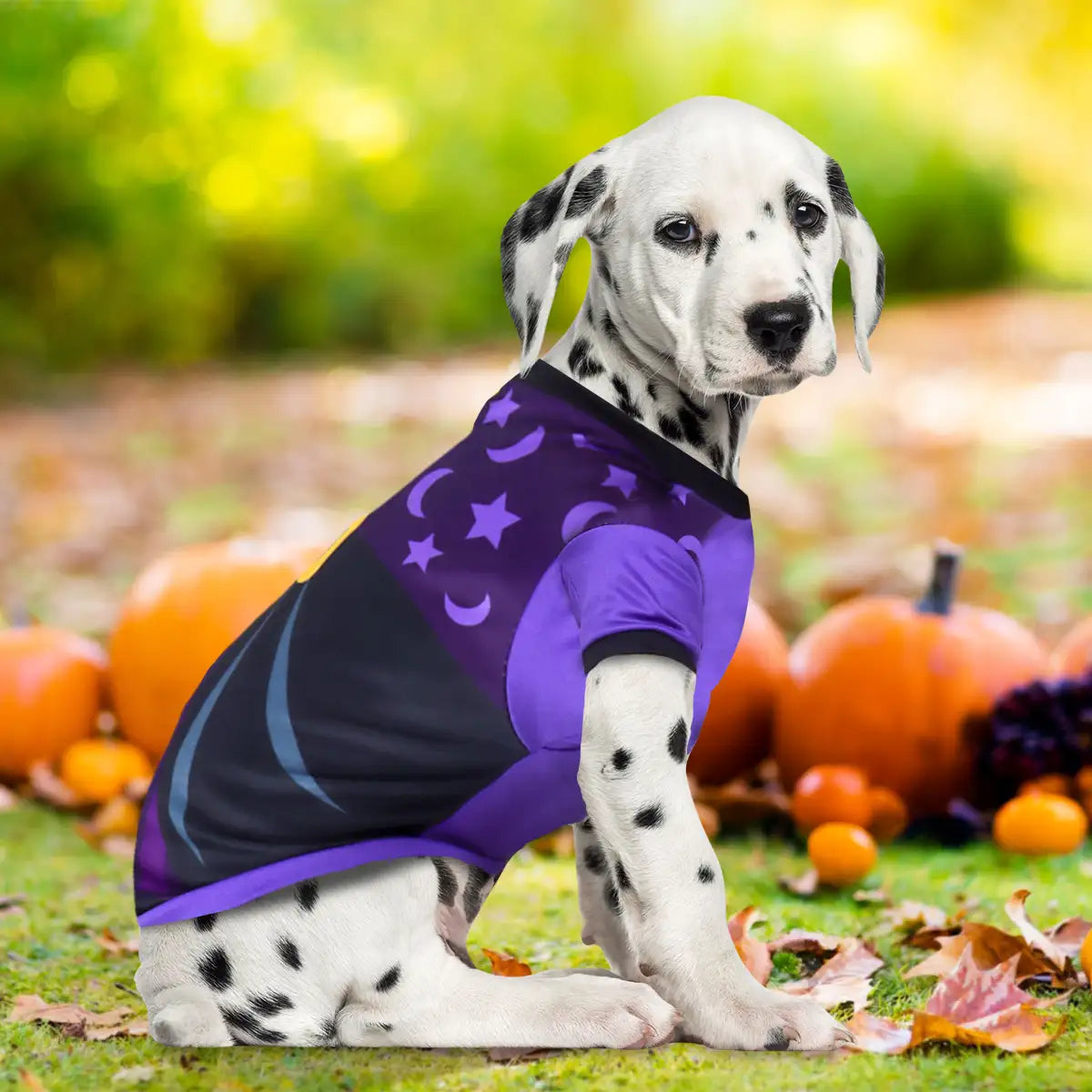 Mago, Disfraz para Mascota, Talla Grande