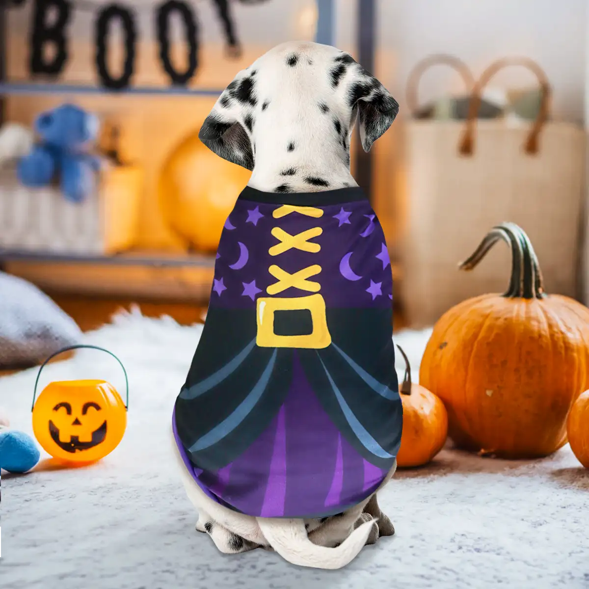 Mago, Disfraz para Mascota, Talla Grande