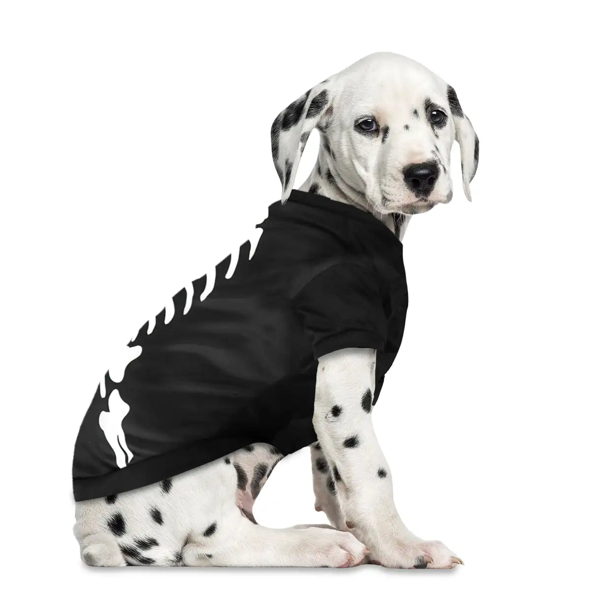 Esqueleto, Disfraz para Mascota, Talla Chica