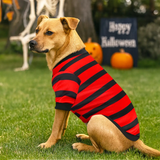 Rayas, Disfraz para Mascota, Talla Grande