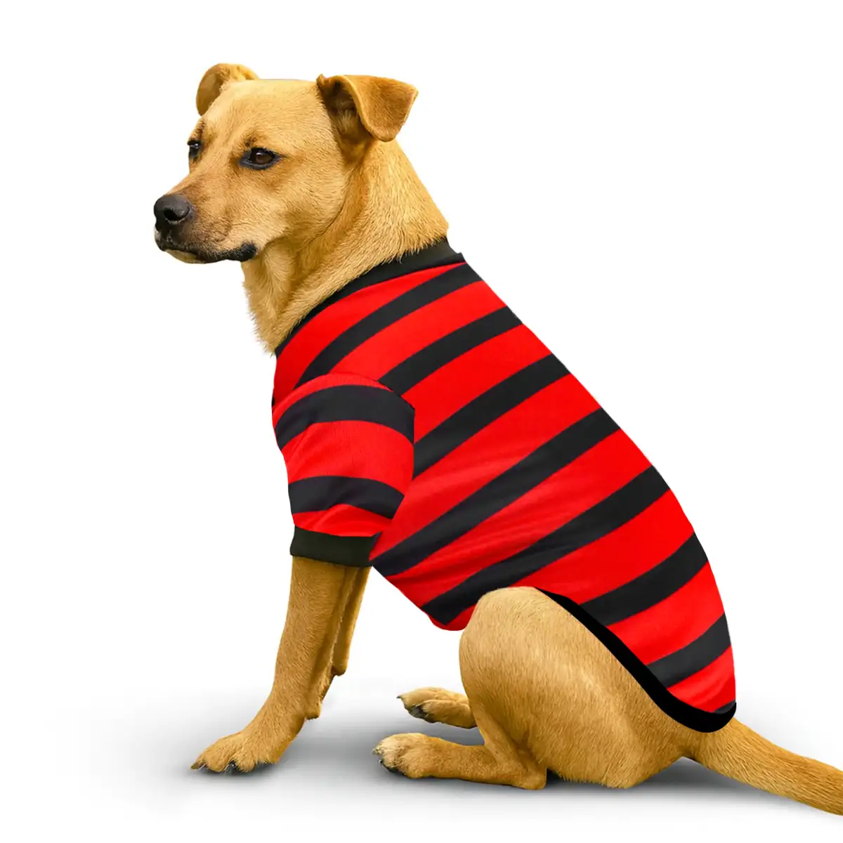 Rayas, Disfraz para Mascota, Talla Grande