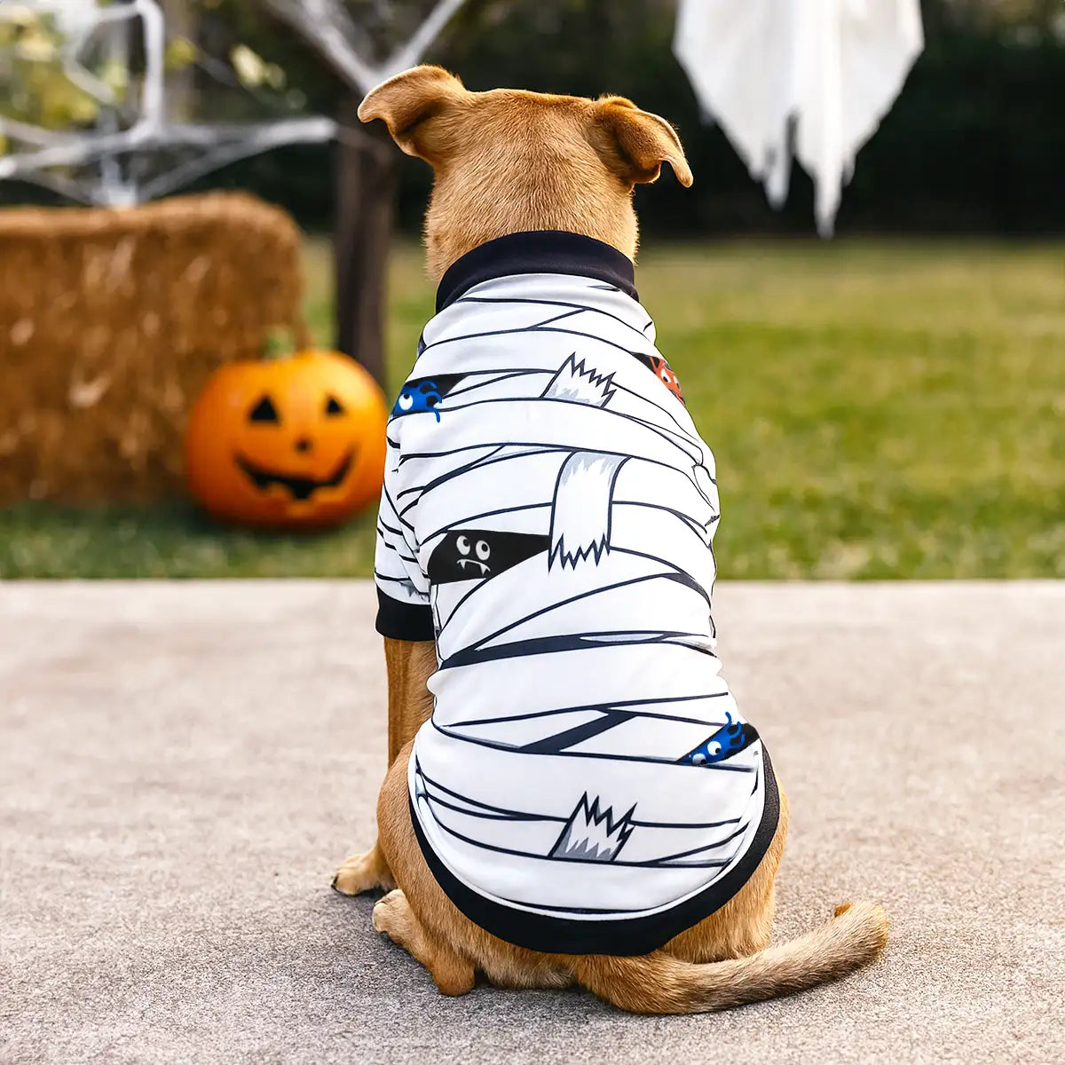 Momia, Disfraz para Mascota, Talla Grande