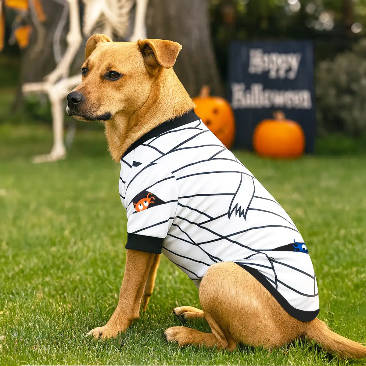 Momia, Disfraz para Mascota, Talla Grande