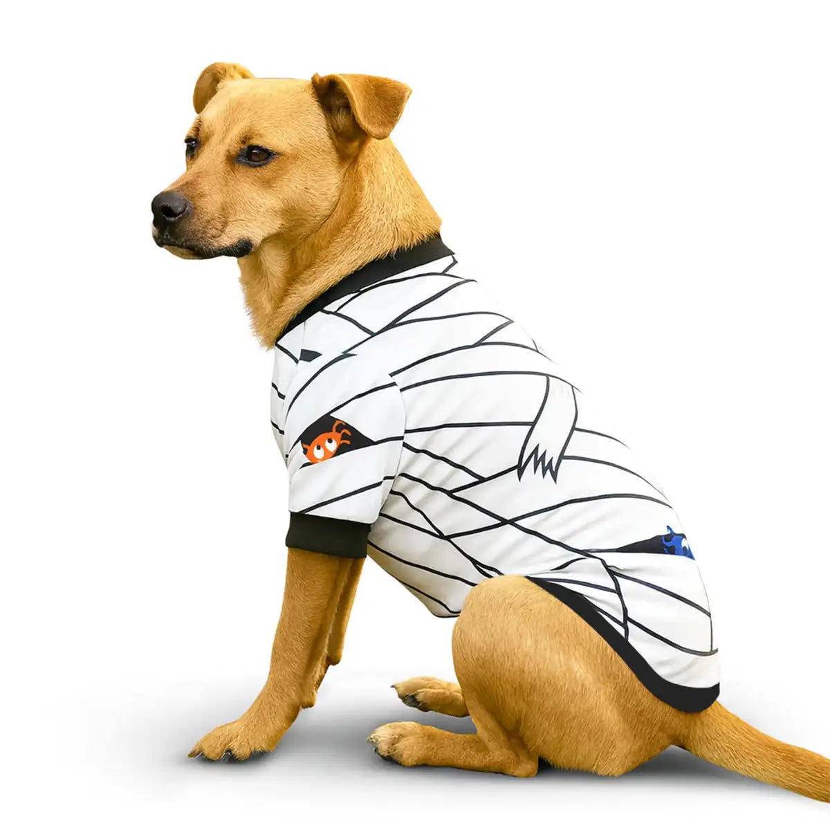 Momia, Disfraz para Mascota, Talla Grande