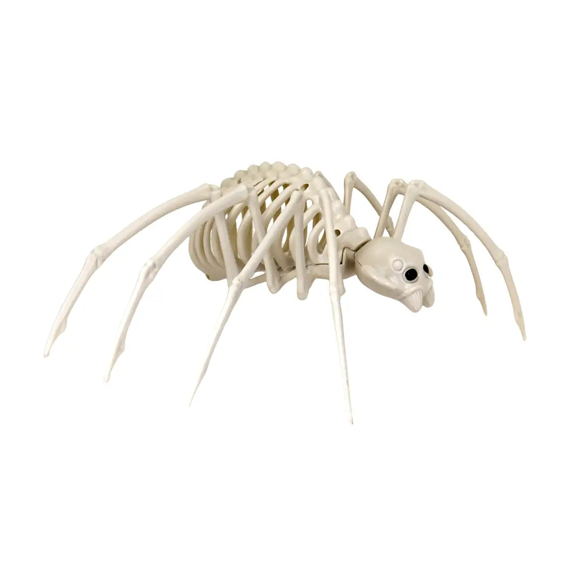 Araña, Esqueleto, Decoración de Halloween