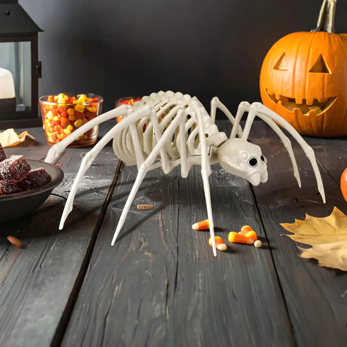 Araña, Esqueleto, Decoración de Halloween