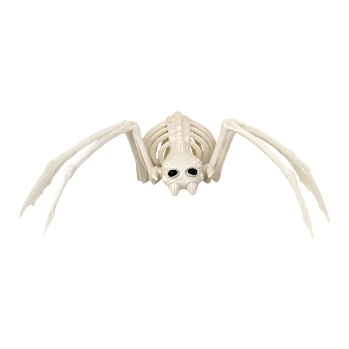 Araña, Esqueleto, Decoración de Halloween