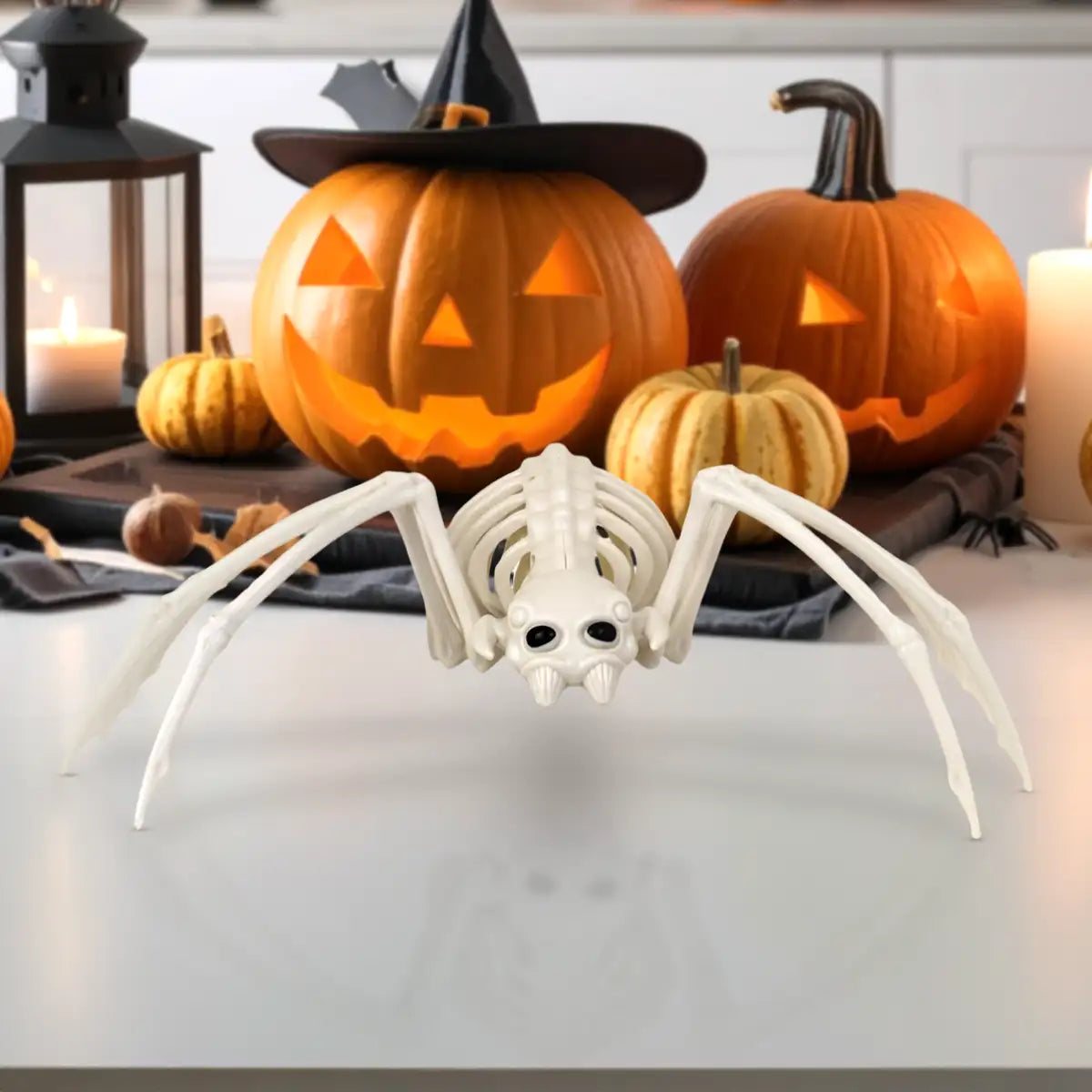 Araña, Esqueleto, Decoración de Halloween