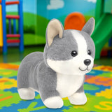 Corgi, Peluche, Color Gris