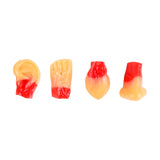 Partes de Cuerpo, Gomitas 4D, Amos