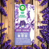 Neutralizador de Olores, Air Wick, Aroma Lavanda