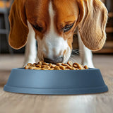 Plato Antiansiedad para Mascotas, Color Azul