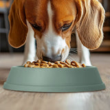 Plato Antiansiedad para Mascotas, Color Verde