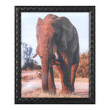 Portarretratos Elefante, Color Negro, 20x25cm