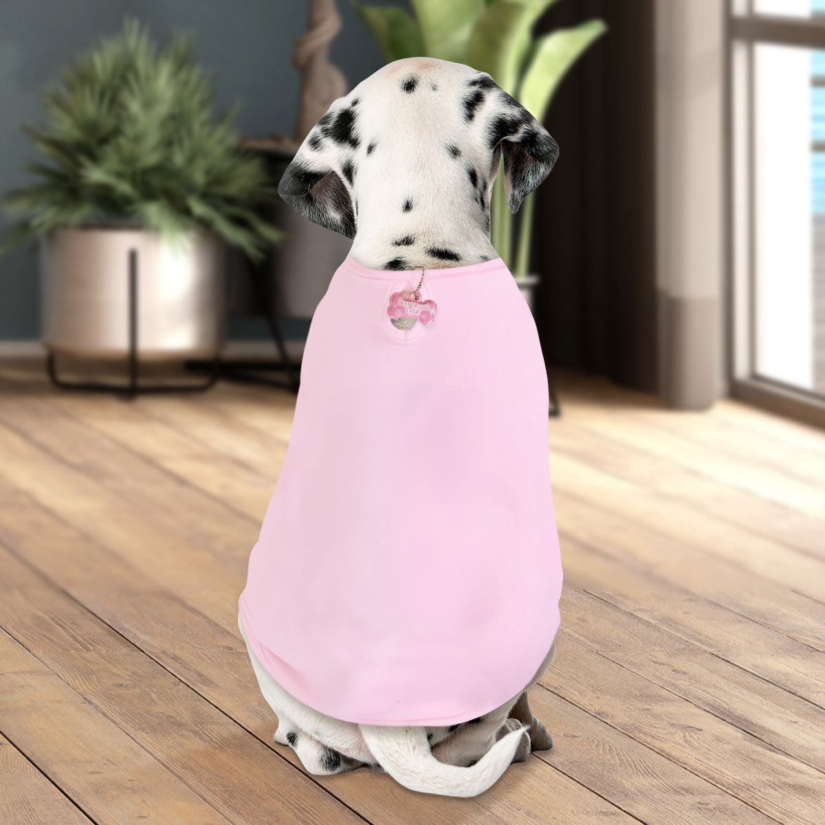 Ropa para Mascota, Color Rosa