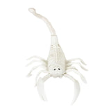 Escorpión, Esqueleto para Decoración de Halloween