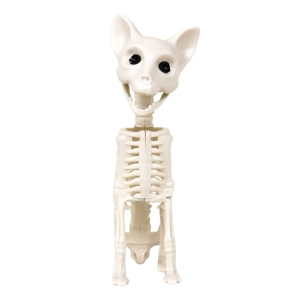 Gatito, Esqueleto para Decoración de Halloween