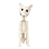 Gatito, Esqueleto para Decoración de Halloween
