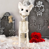 Gatito, Esqueleto para Decoración de Halloween