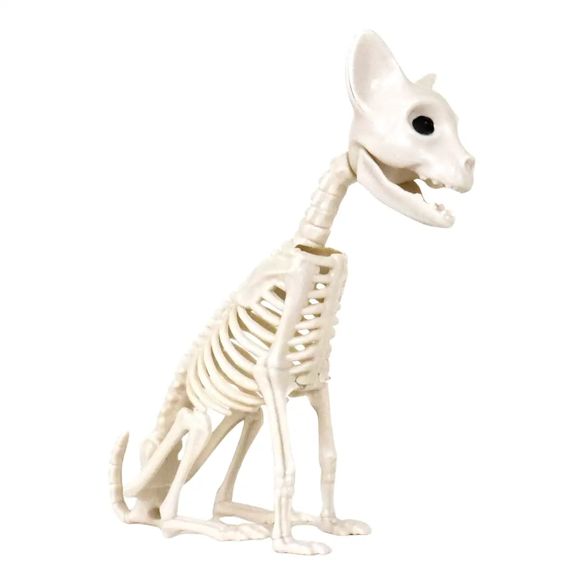 Gatito, Esqueleto para Decoración de Halloween