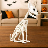 Gatito, Esqueleto para Decoración de Halloween