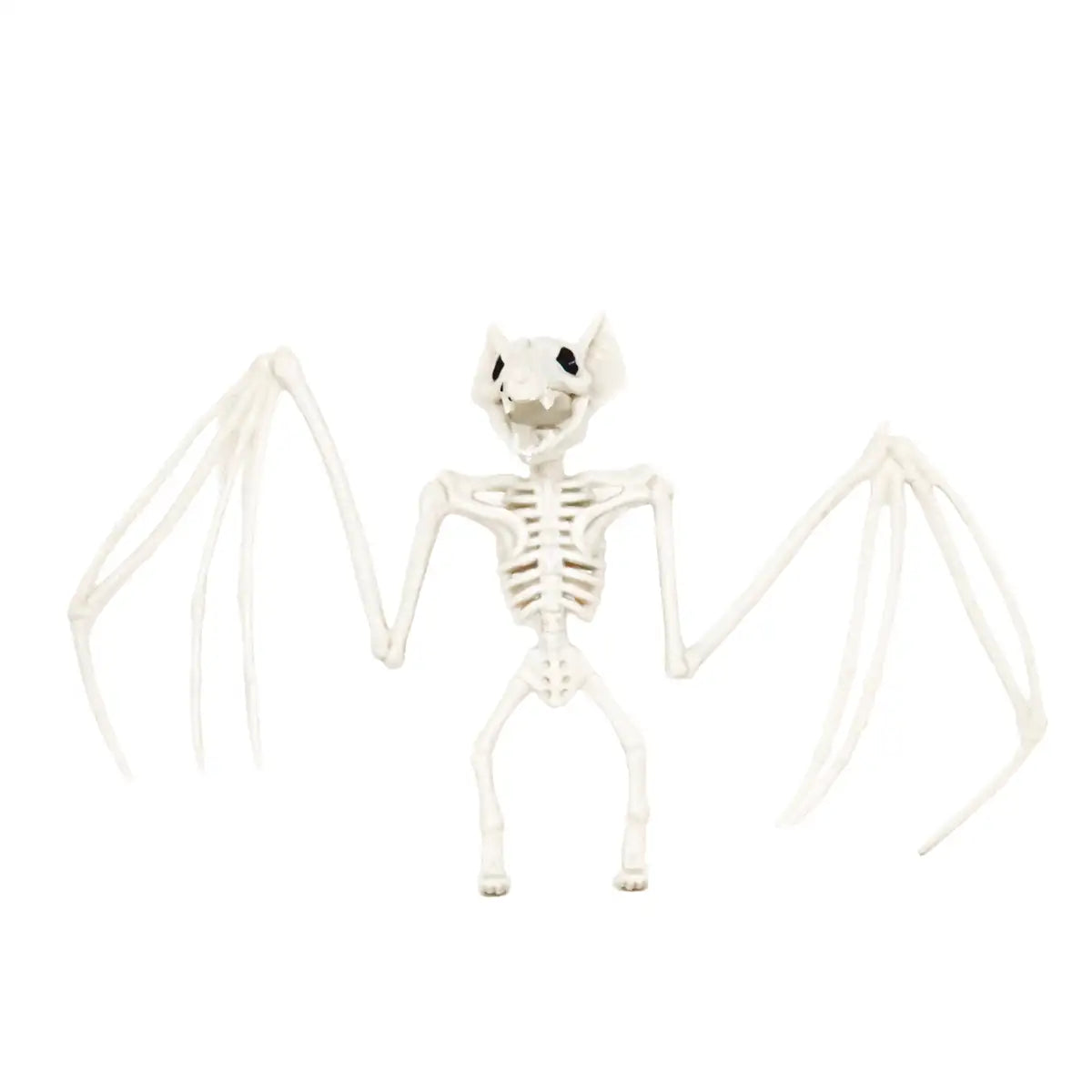 Murciélago, Esqueleto para Decoración de Halloween