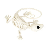 Reptil, Esqueleto para Decoración de Halloween