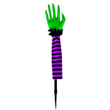 Mano de Bruja, Estaca, Color Morado