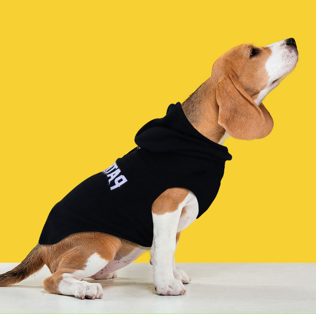 Sudadera de los Patriots para Perro, Negro