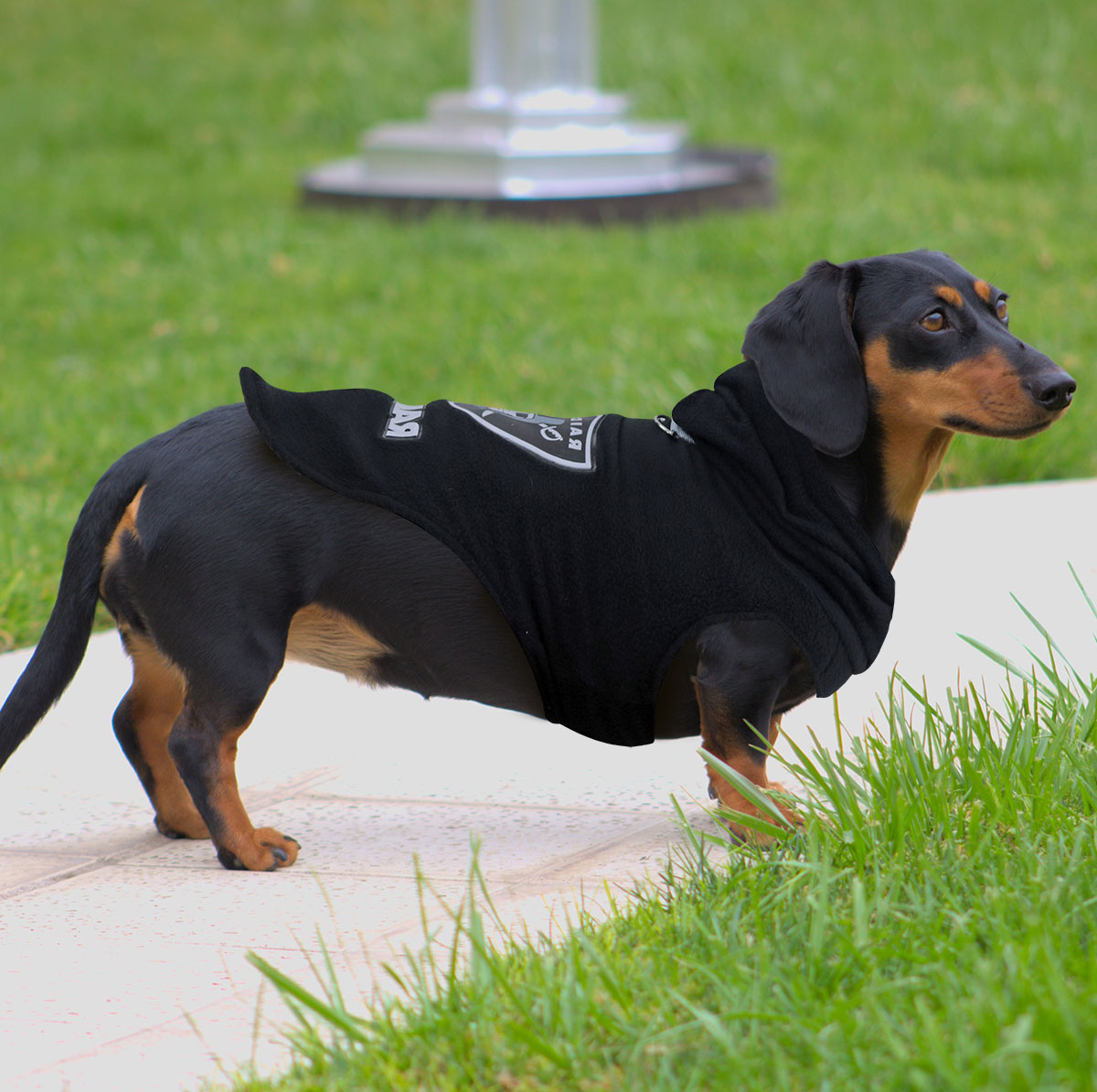 Sudadera de los Raiders para Perro, Negro