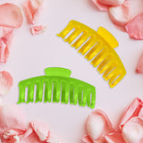 Set de 2 Pinzas para Cabello Owly