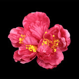 Peonia Artificial Color Fiusha, Planta Artificial