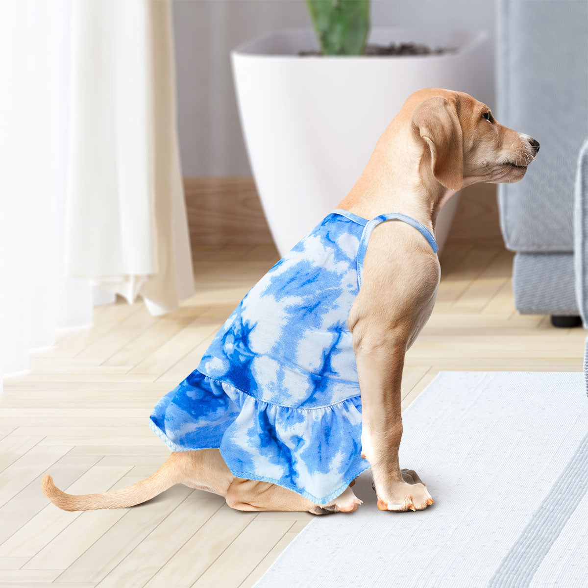 Vestido para Perro en Patrón Azul con Blanco