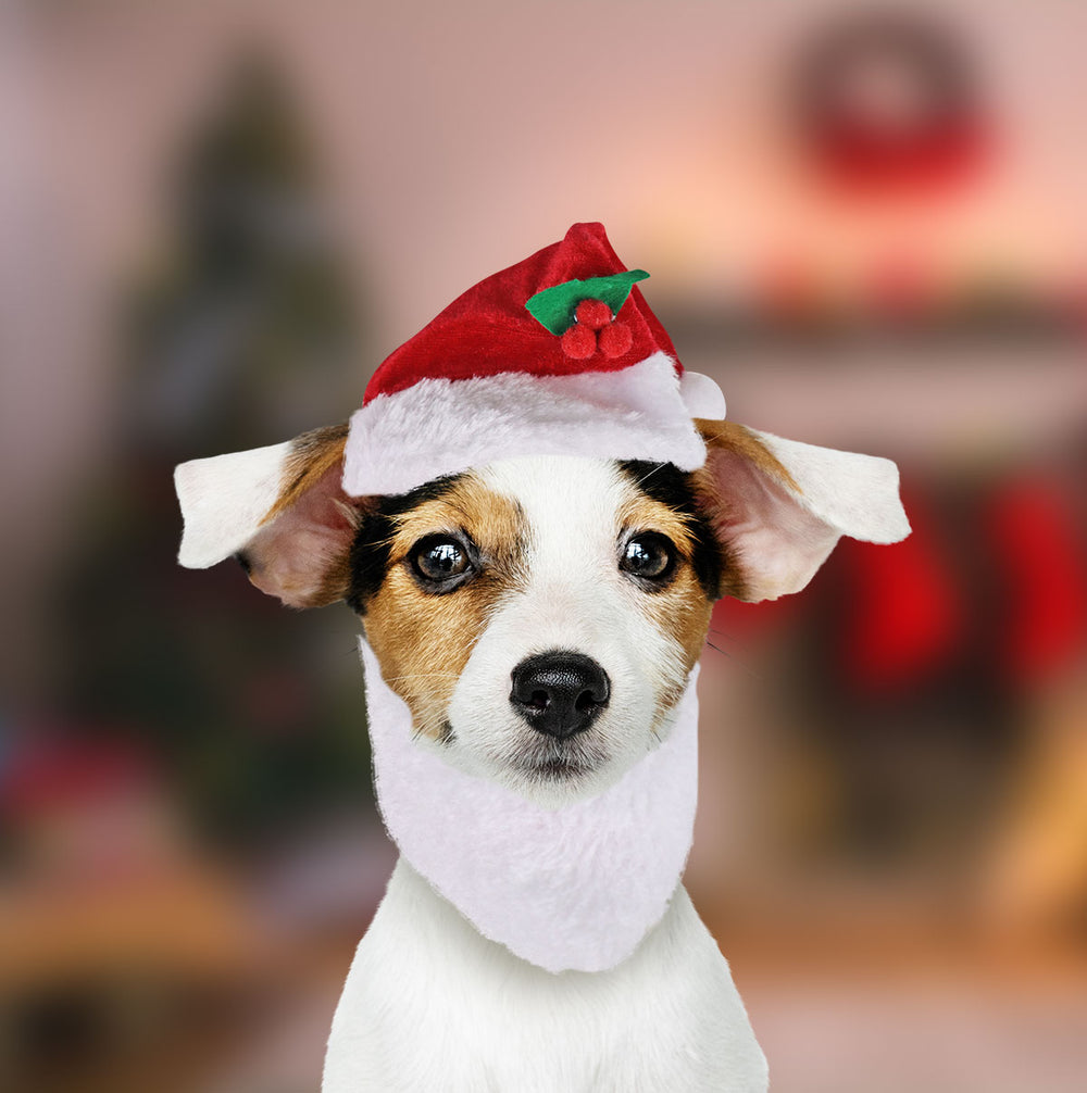Gorrito Navideño para Mascota