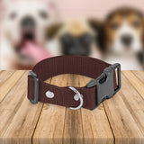 Collar Ajustable para Perro