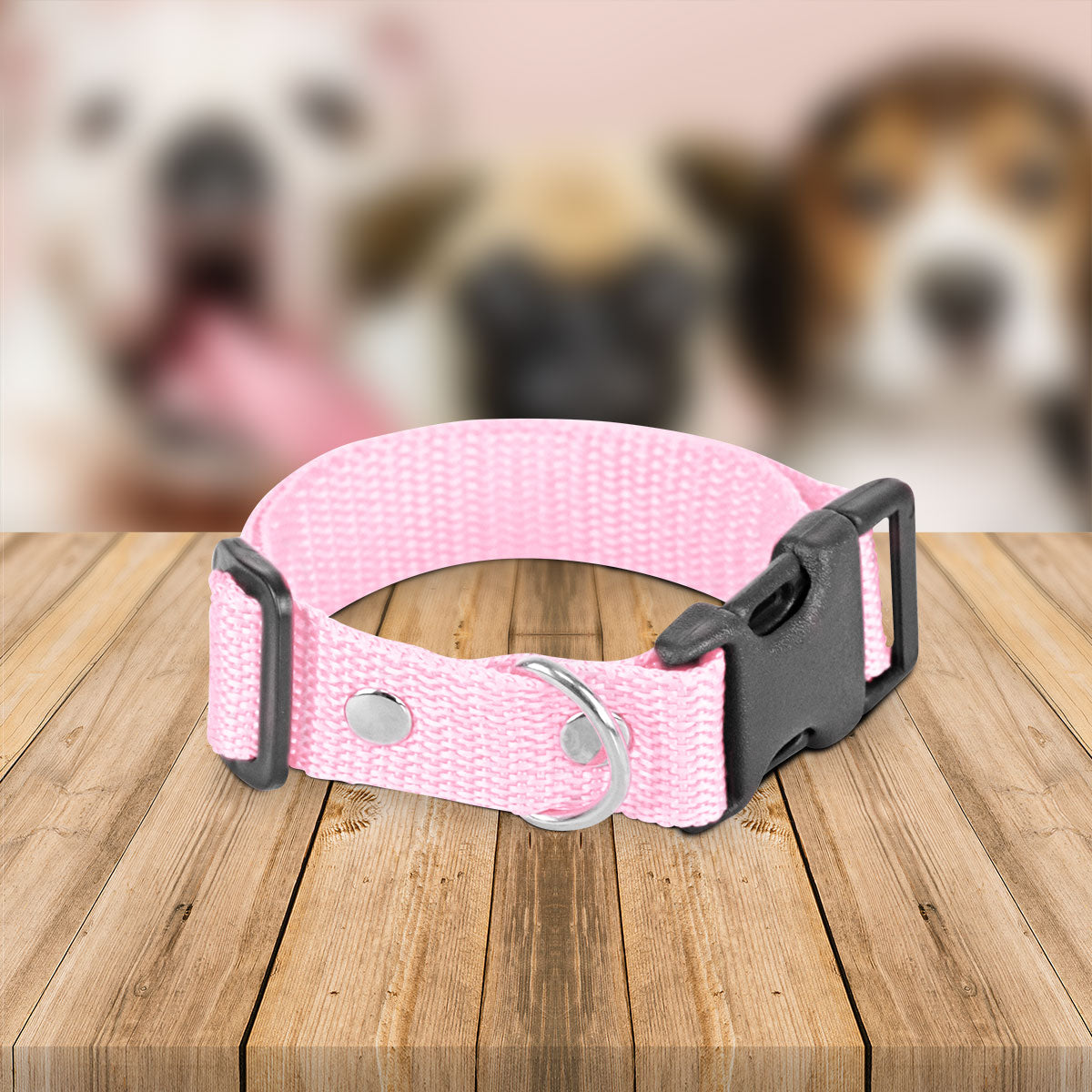 Collar Ajustable para Perro