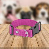 Collar Ajustable para Perro