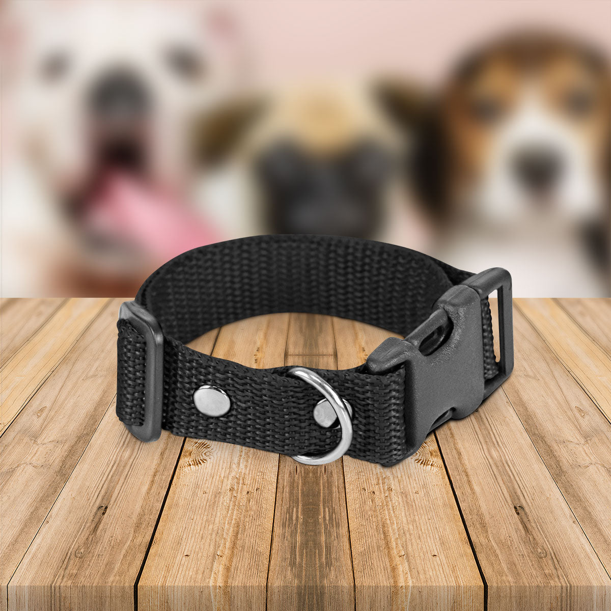 Collar Ajustable para Perro