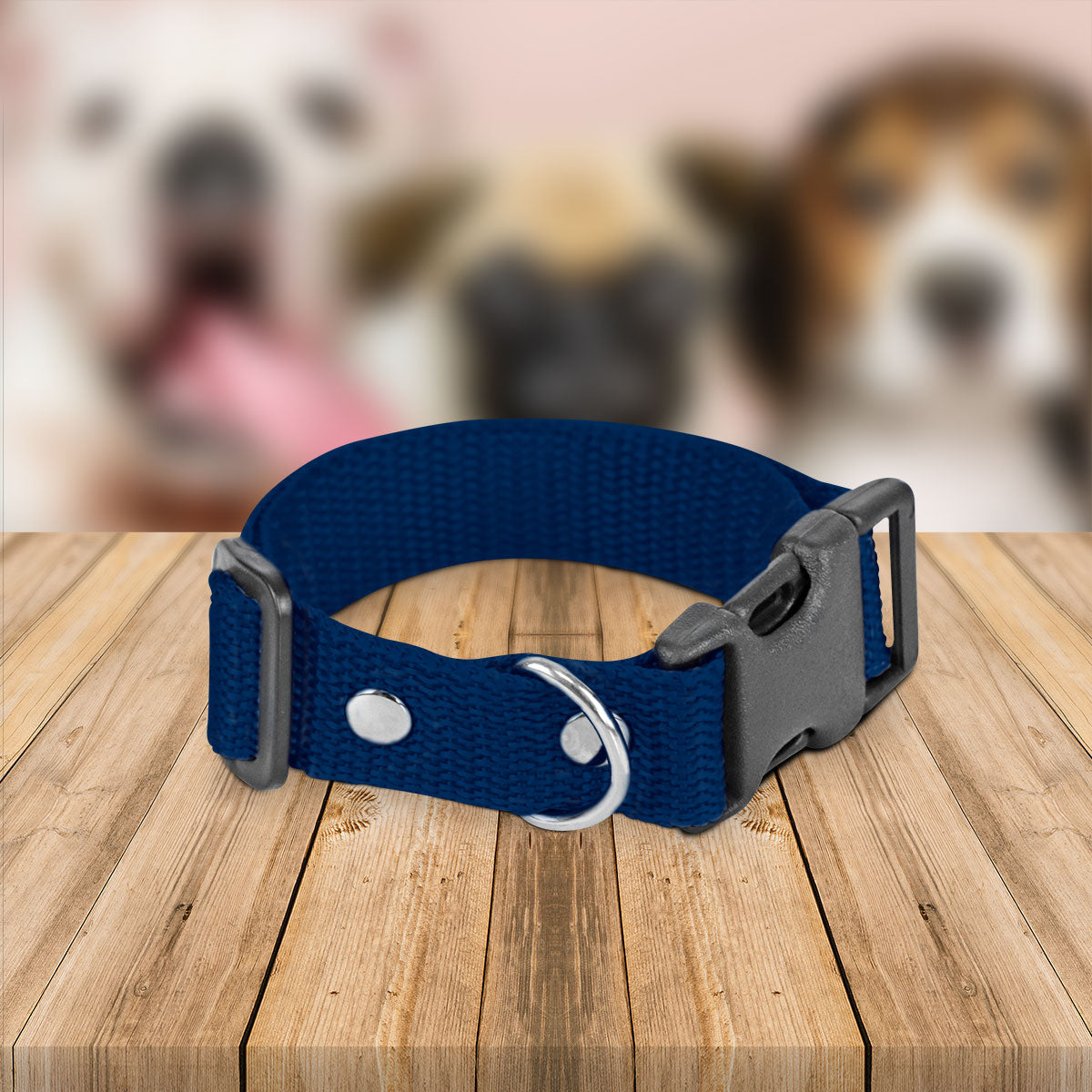 Collar Ajustable para Perro