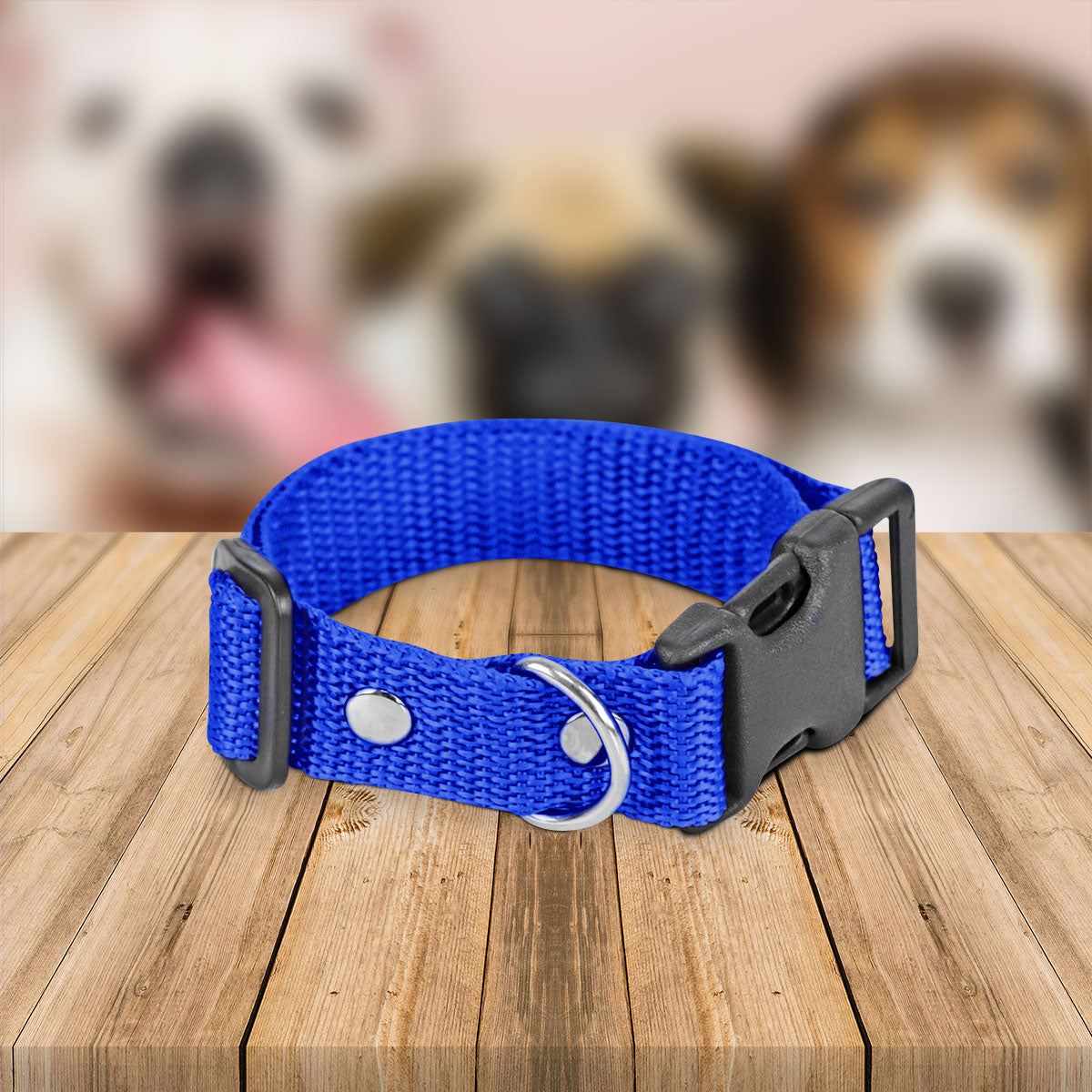 Collar Ajustable para Perro